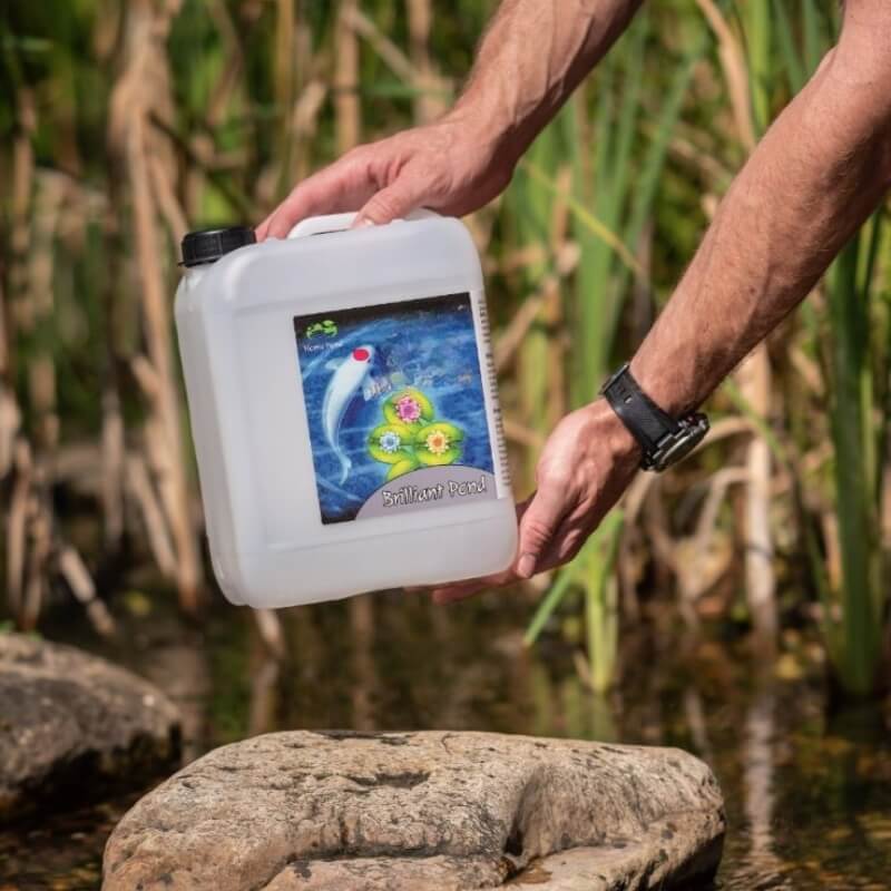 Brilliant Pond